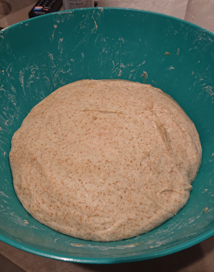 Whole weat dough