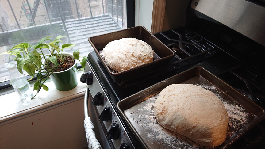 Shaped loaves